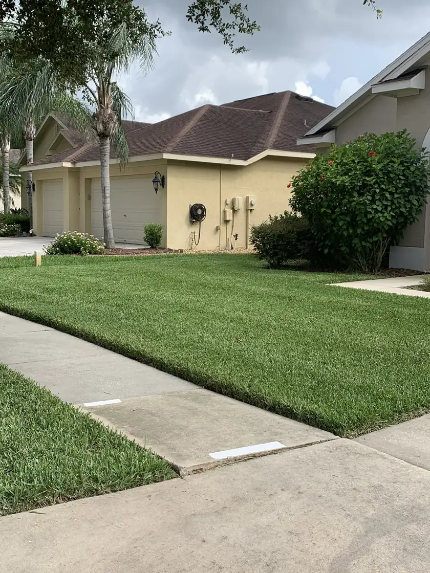 Freshly striped corner lawn along a sidewalk in a residential neighborhood