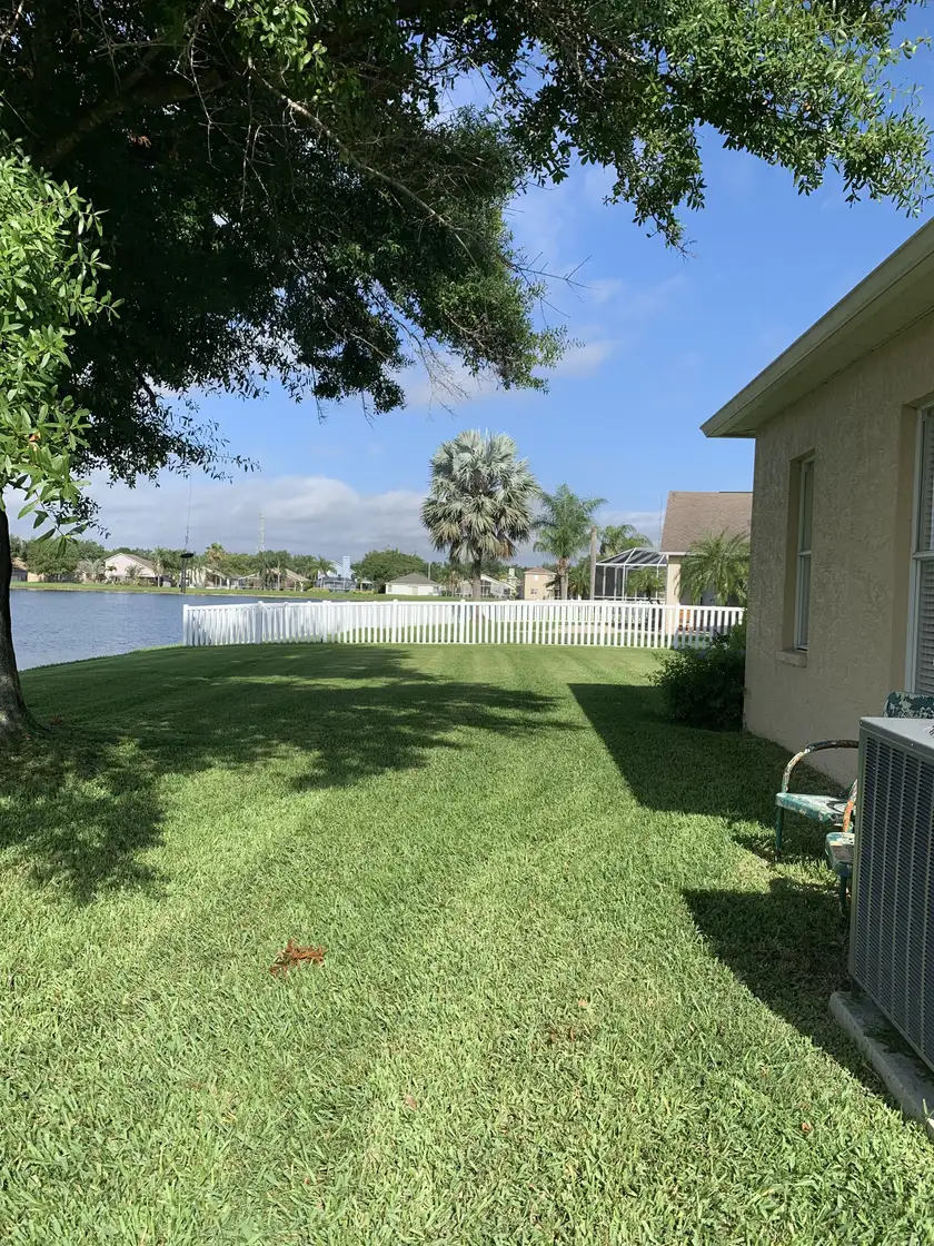 Edged lawn and sidewalk lined with palm trees in a residential neighborhood