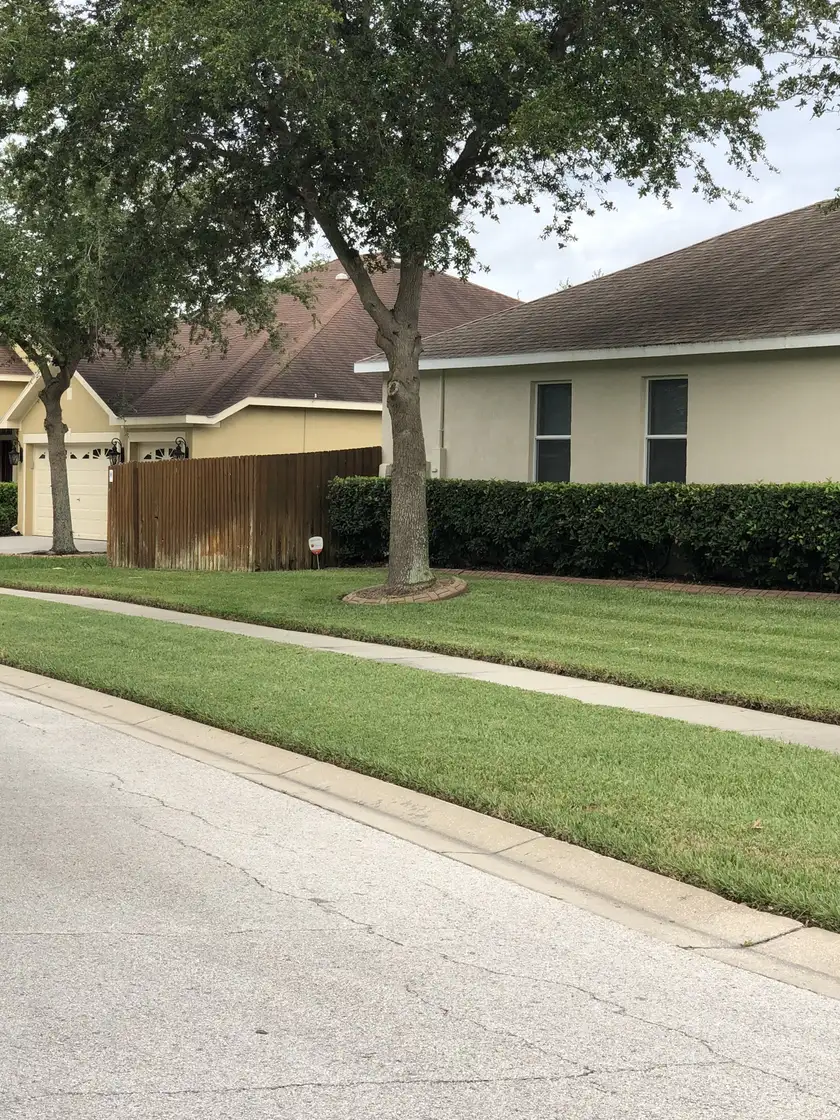 Mowed lawn sloping toward a neighborhood pond, with palms along the water